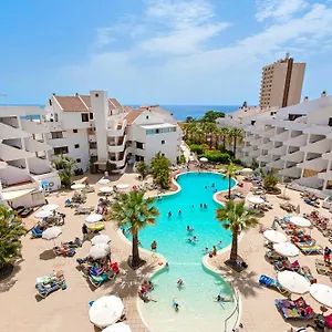 Paloma , Los Cristianos (Tenerife) Hiszpania